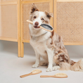 Charger l'image dans la visionneuse de la galerie, Patomia wooden dog brush for long fine hair held by a cute dog, with two additional brushes on the floor