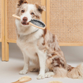 Charger l'image dans la visionneuse de la galerie, Patomia wooden and nylon dog brush held in the mouth of a dog, with two additional brushes on the floor.