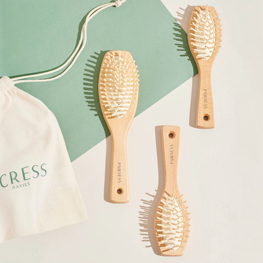 brosses pour chien en bois pour poils longs et fins Pawness