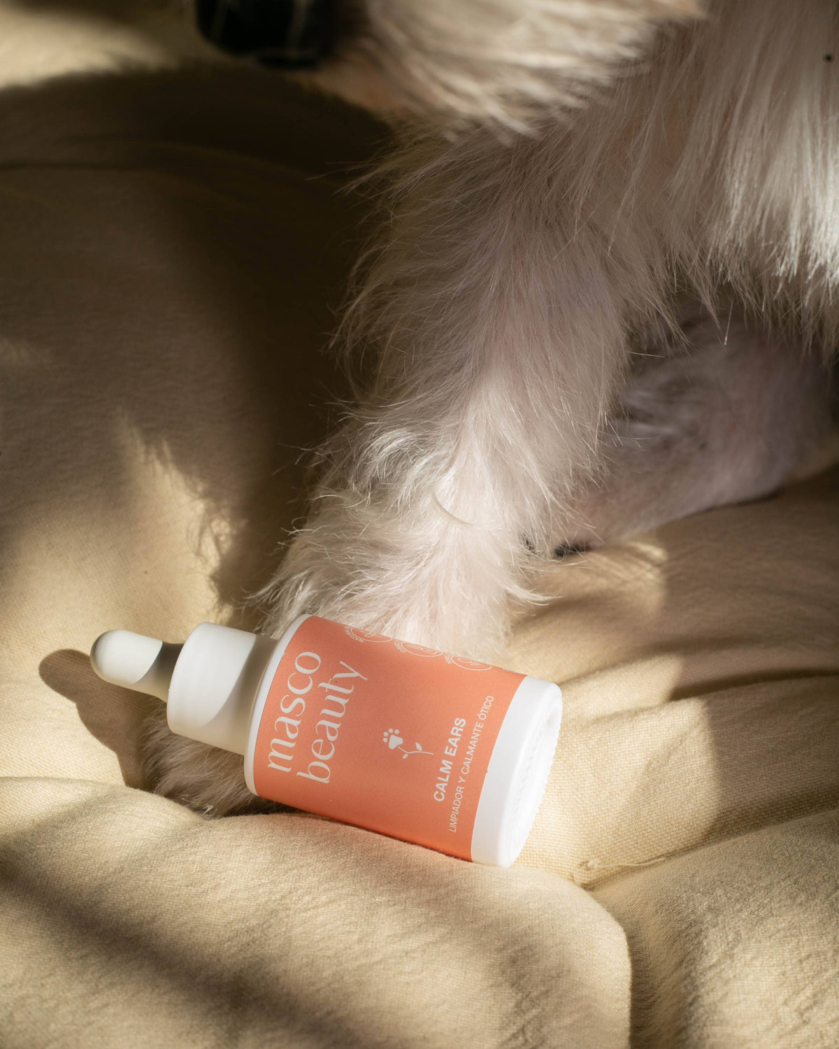 nettoyant pour les oreilles Masco Beauty dans un lit à côté d'un chien