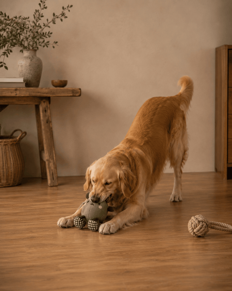 Jouets