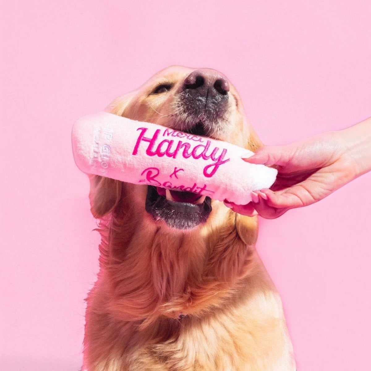 Patomia Bandit x Merci Handy pink plush lip gloss dog toy held in a golden retriever's mouth against a pink background