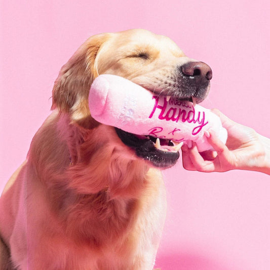 Patomia Bandit x Merci Handy plush lip gloss dog toy in pink being held by a golden retriever on a pink background
