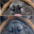 Charger l'image dans la visionneuse de la galerie, Patomia Belle truffe natural dog nose balm showing before and after results on a French Bulldog nose
