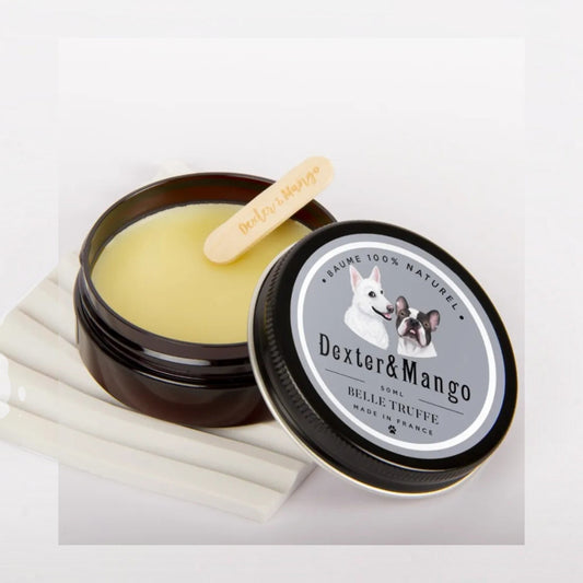 Patomia Belle truffe natural dog nose balm in a 50ml jar with a wooden applicator on a white surface.
