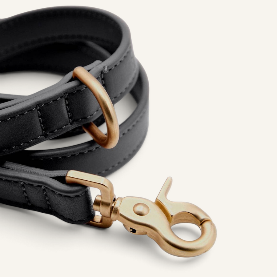 Patomia 1.4m black vegan leather dog leash with durable gold-toned zamak metal hardware and secure clasp