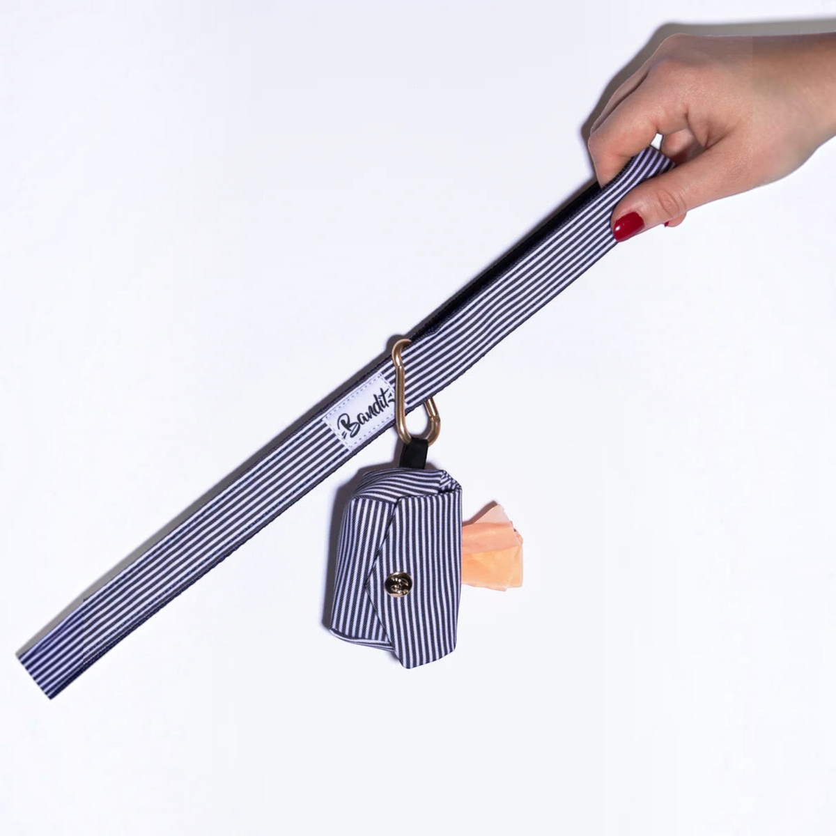 Patomia blue striped dog poop bag holder with snap button and metal clip attached to a matching leash
