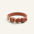 Charger l'image dans la visionneuse de la galerie, Patomia brown vegan leather dog collar with durable zamak metal buckle and D-ring, handcrafted from Lignify material.
