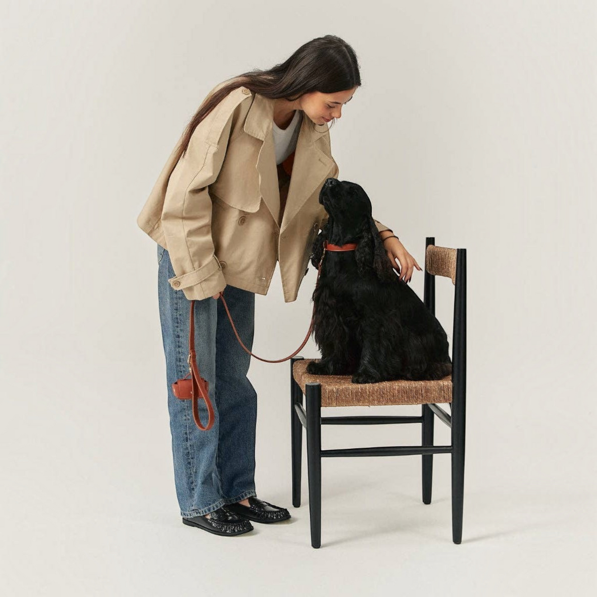 Patomia brown vegan leather dog collar on a black cocker spaniel with a woman in a beige trench coat