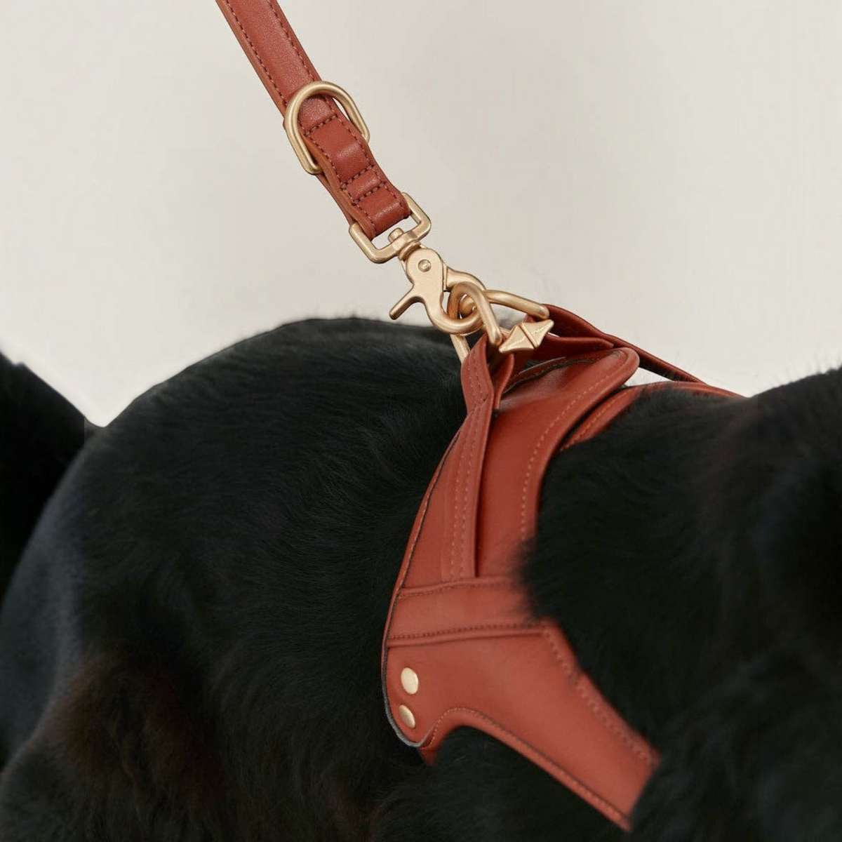 Patomia brown vegan leather dog harness and leash set with durable zamak metal hardware on a black dog