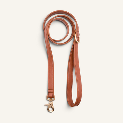 Patomia Jala 1.4m brown vegan leather dog leash with durable zamak metal hardware on a light background