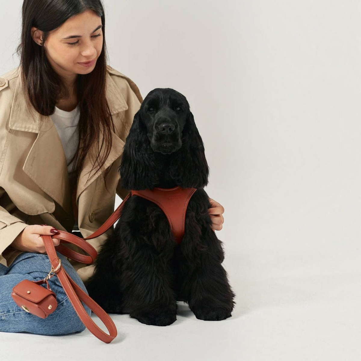 Patomia brown vegan leather dog leash with zamak hardware held by a woman next to a black spaniel wearing a harness