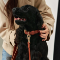 Charger l'image dans la visionneuse de la galerie, Patomia brown vegan leather dog leash with durable zamak metal hardware attached to a black dog collar

