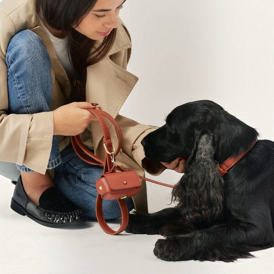 Patomia brown vegan leather dog leash with matching waste bag holder held by a woman petting a black dog