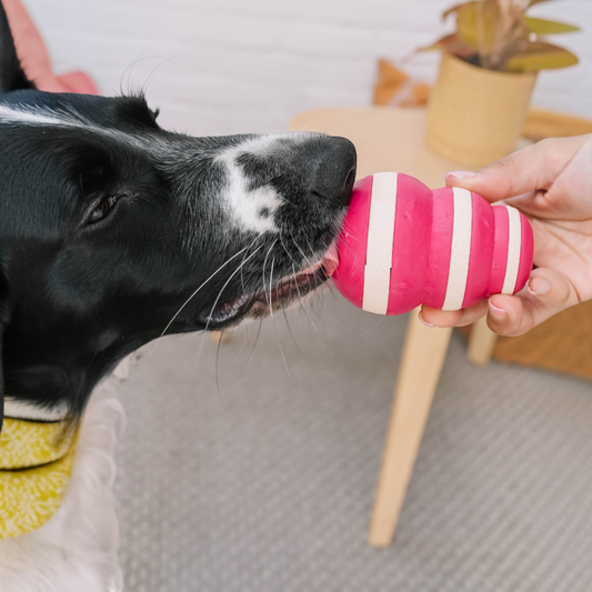 Patomia Bubble dog treat dispenser in pink and white silicone being licked by a black and white dog