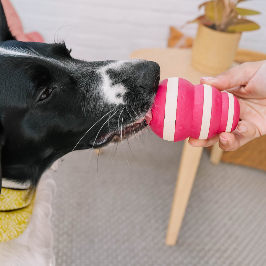 Patomia Bubble dog treat dispenser in pink and white silicone being licked by a black and white dog