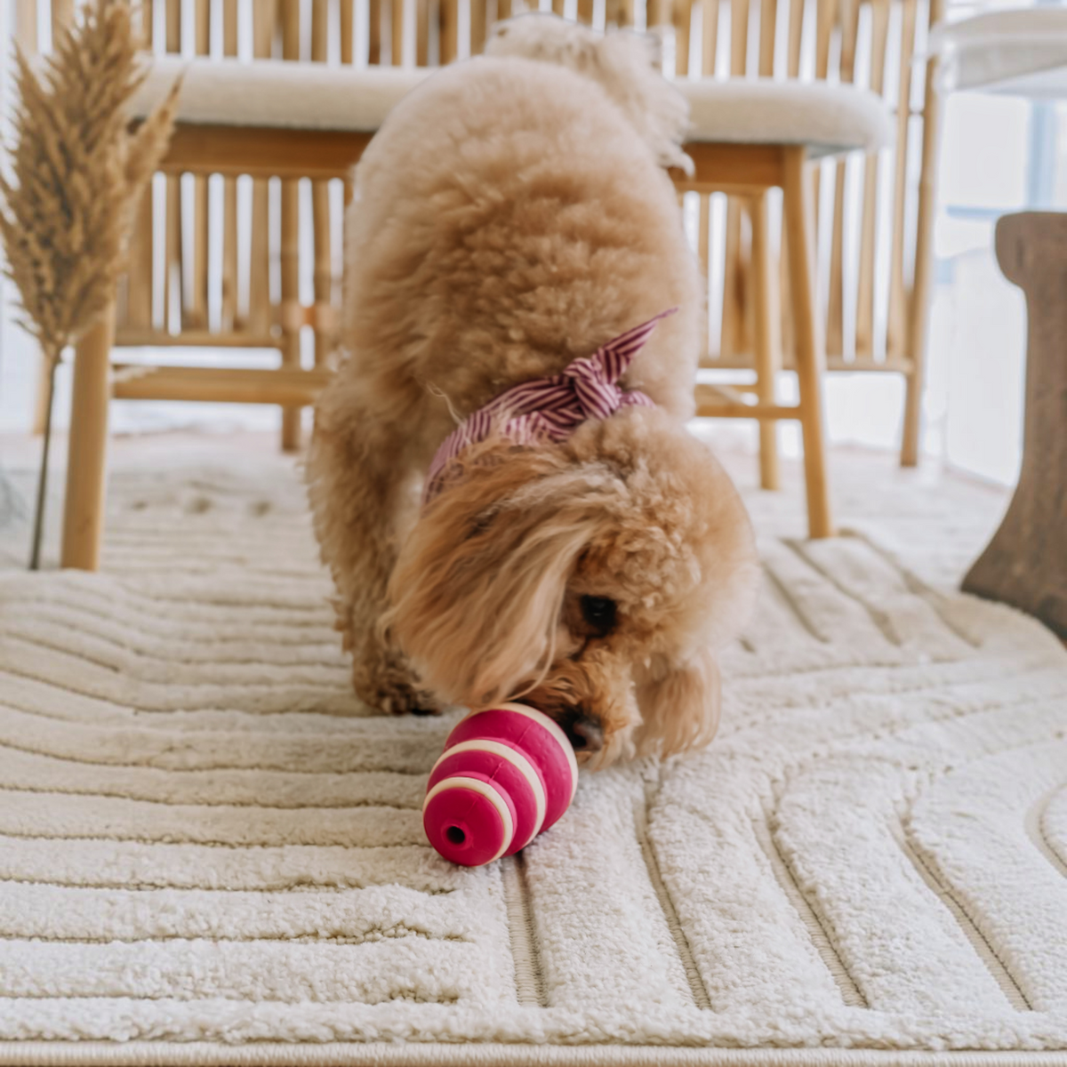 Patomia Bubble Feeder pink silicone treat-dispensing toy being licked by a small curly-haired dog on a rug