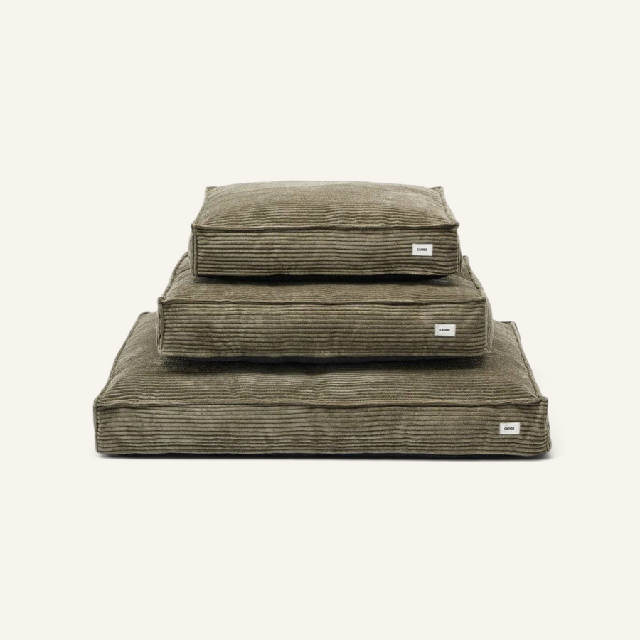 Patomia Cuadra green corduroy dog bed cushions stacked in three sizes with soft texture and minimalist design