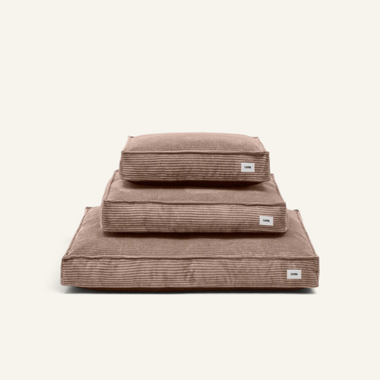 Patomia Cuadra mocha beige corduroy dog bed with removable cover and recycled foam filling in three stacked sizes