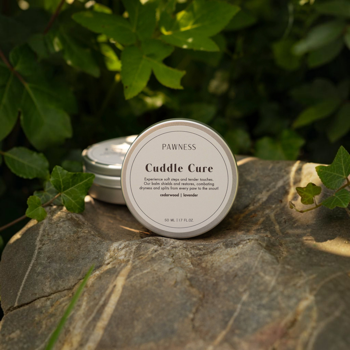 Patomia Cuddle Cure natural dog balm in a 50ml tin for soothing dry paws and noses, set on a garden rock.