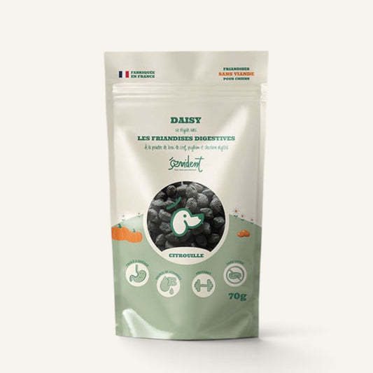 Patomia Daisy digestive dog treats in a 70g pouch with charcoal and pumpkin ingredients for gut health