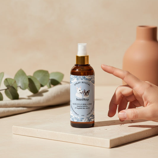 Patomia Souffle Polaire natural dog breath spray in an amber bottle with a gold pump on a stone surface.