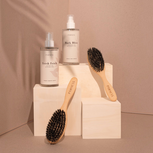 Patomia dog grooming brushes with natural Tampico bristles and beech wood handles displayed with grooming sprays