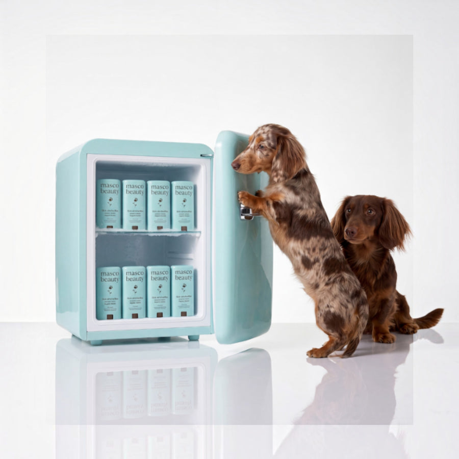 Patomia dog paw balm sticks stored in a light blue mini fridge with two long-haired dachshunds looking inside