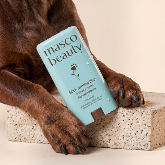 Patomia dog paw balm stick in light blue packaging, formulated with shea butter and aloe for paw protection.