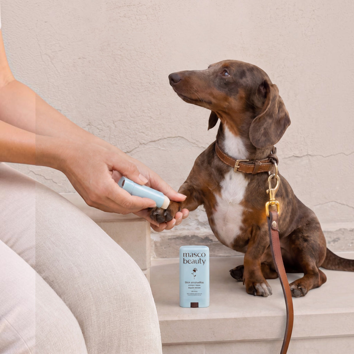 Patomia dog paw balm stick being applied to a dachshund's paw to protect against hot pavement and rough surfaces