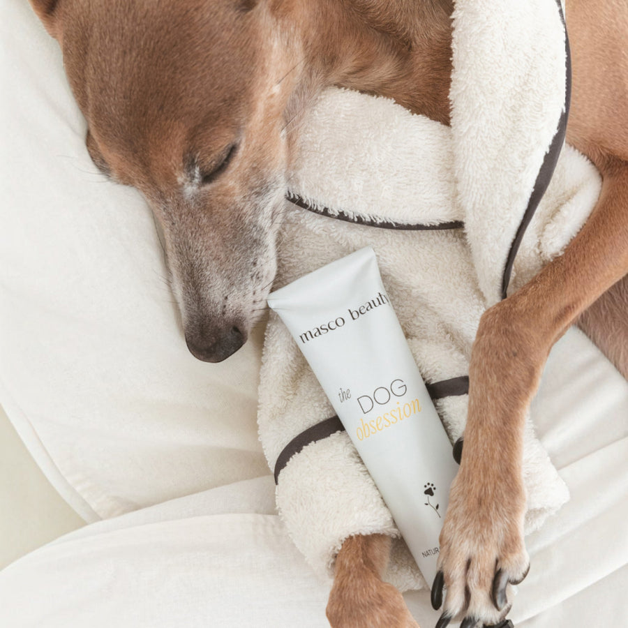 Patomia soothing repair balm for dog paws and skin, held by a sleeping dog in a cozy white bathrobe.
