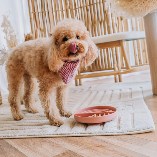 Patomia The Dreamy round silicone lickmat in Vieux Rose with a cute poodle licking its nose on a rug