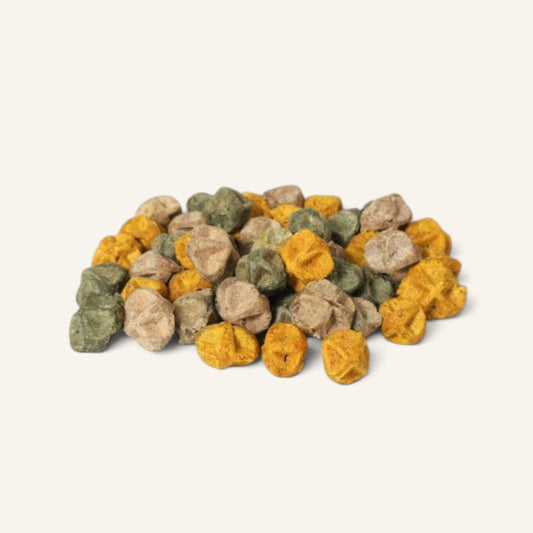 Patomia Floky organic dog treats in yellow, green, and beige colors, featuring natural ingredients for dog health.