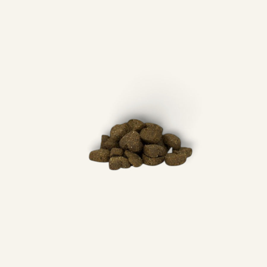 Patomia Frenchy crunchy dental dog treats made with deer antler powder and brown algae in a small pile