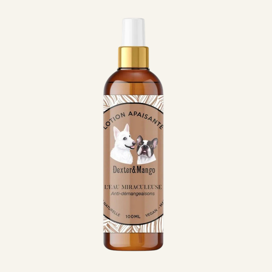 Patomia L'eau Miraculeuse 100ml natural anti-itch soothing spray lotion for dogs in an amber bottle with gold pump