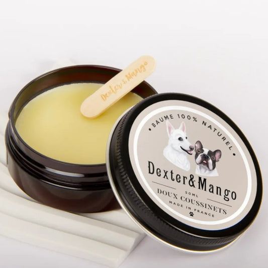 Patomia natural paw balm for dogs in a 50ml jar with a wooden applicator, featuring a cream-colored soothing salve.