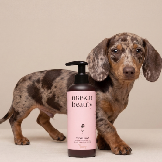 Patomia natural dog shampoo for short-haired breeds like dachshunds, featuring jojoba and chamomile in a 250ml bottle