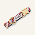 Charger l'image dans la visionneuse de la galerie, Patomia nautical striped dog collar in blue, white, and red with gold hardware and a secure buckle.
