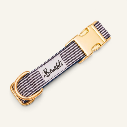 Patomia nautical striped dog collar in blue and white with gold buckle and Bandit brand label