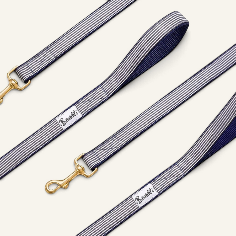 Patomia nautical striped dog leash in blue and white nylon with gold-tone metal hardware