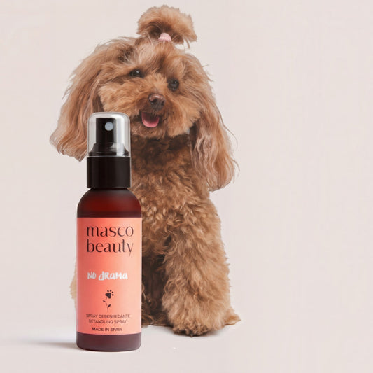 Patomia No Drama natural detangling spray for dogs next to a cute brown poodle with a topknot