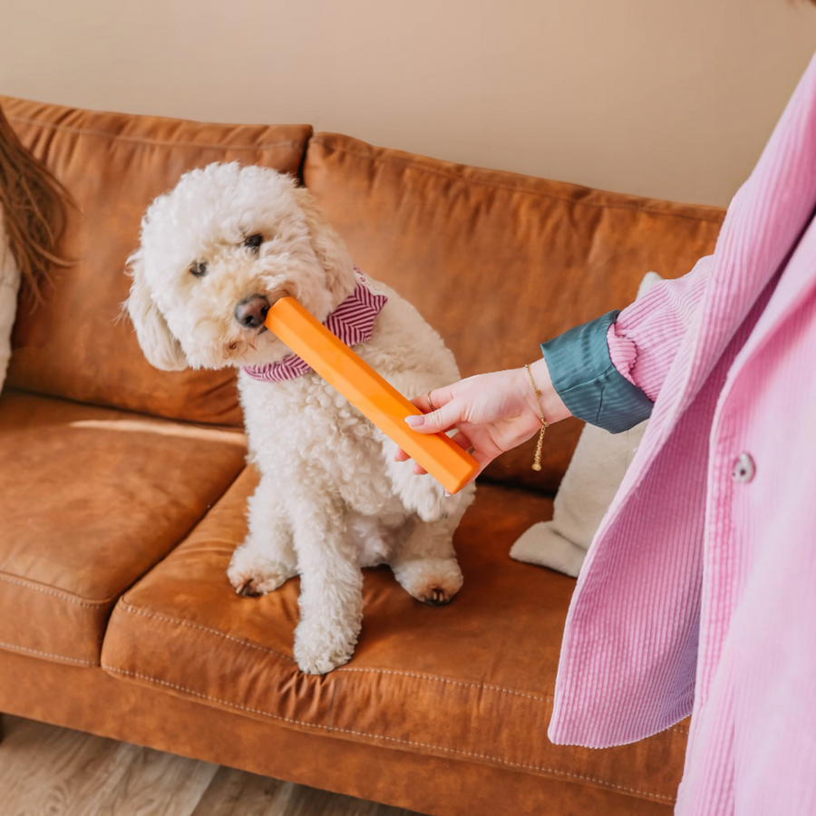 Patomia orange Treat Tube enrichment toy held by a person for a fluffy white dog sitting on a brown leather sofa