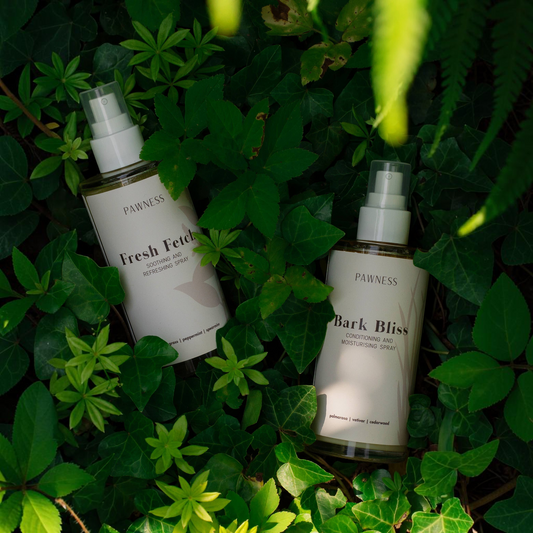 Patomia Pawness Fresh Fetch and Bark Bliss dog grooming sprays nestled in lush green ivy leaves