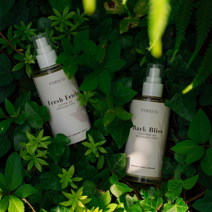Patomia Pawness Fresh Fetch and Bark Bliss dog grooming sprays nestled in lush green ivy leaves