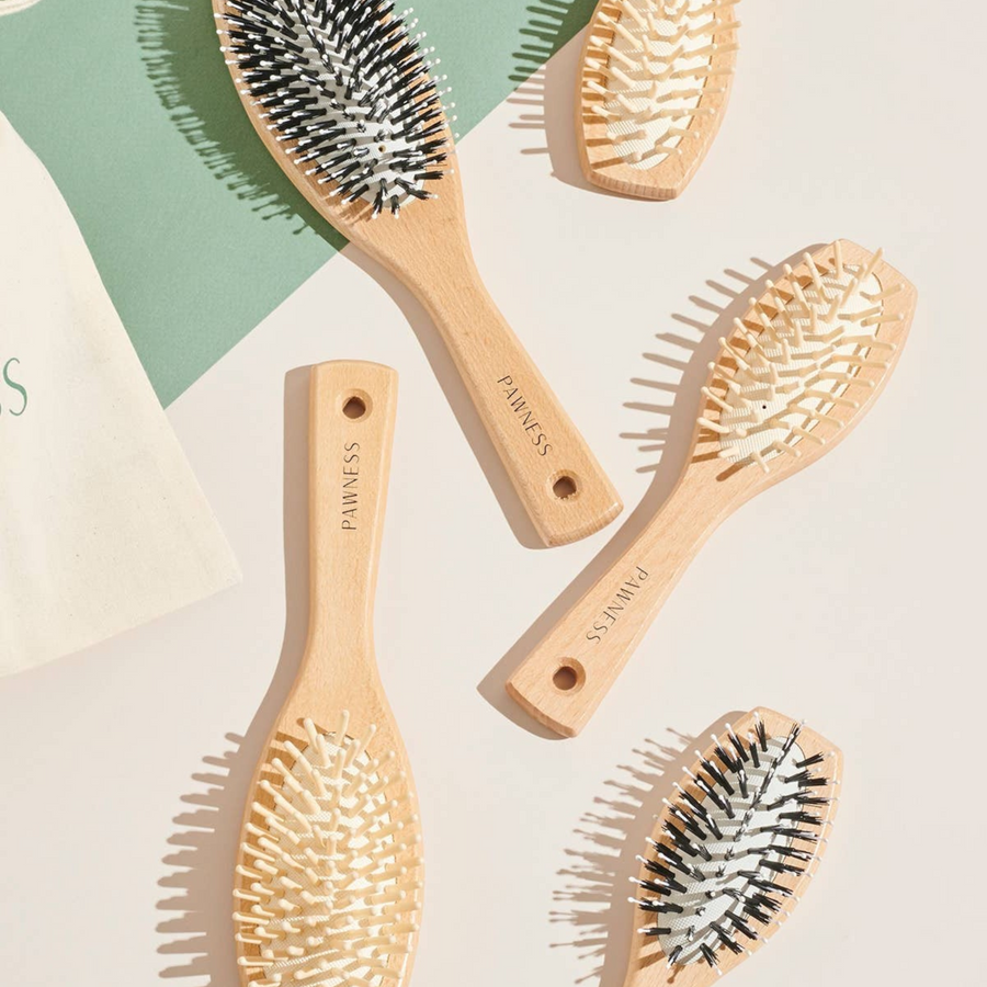 Patomia Pawness wooden and nylon dog brushes for short-haired dogs arranged on a light background