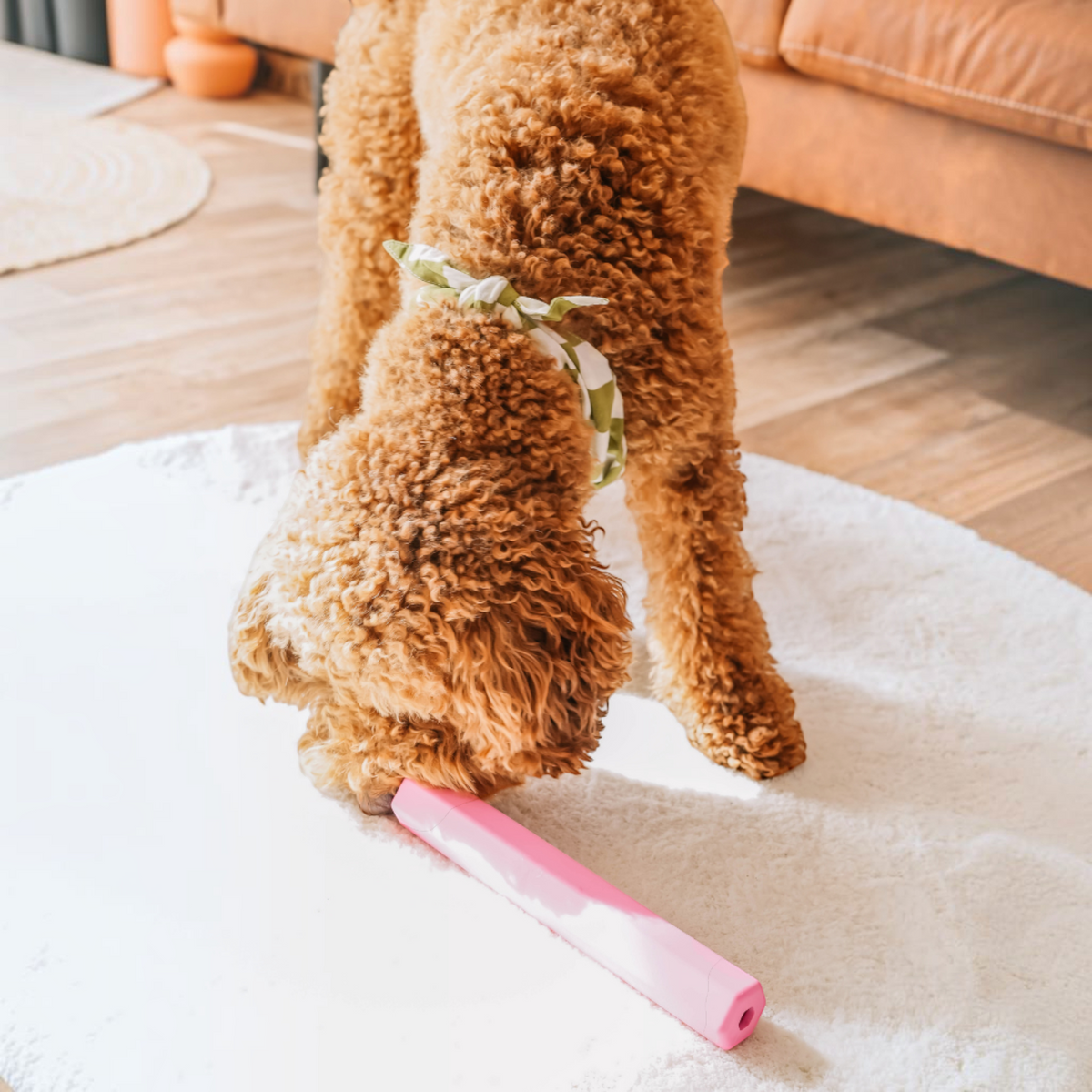 Patomia pink Treat Tube enrichment toy being played with by a curly-haired dog on a white rug