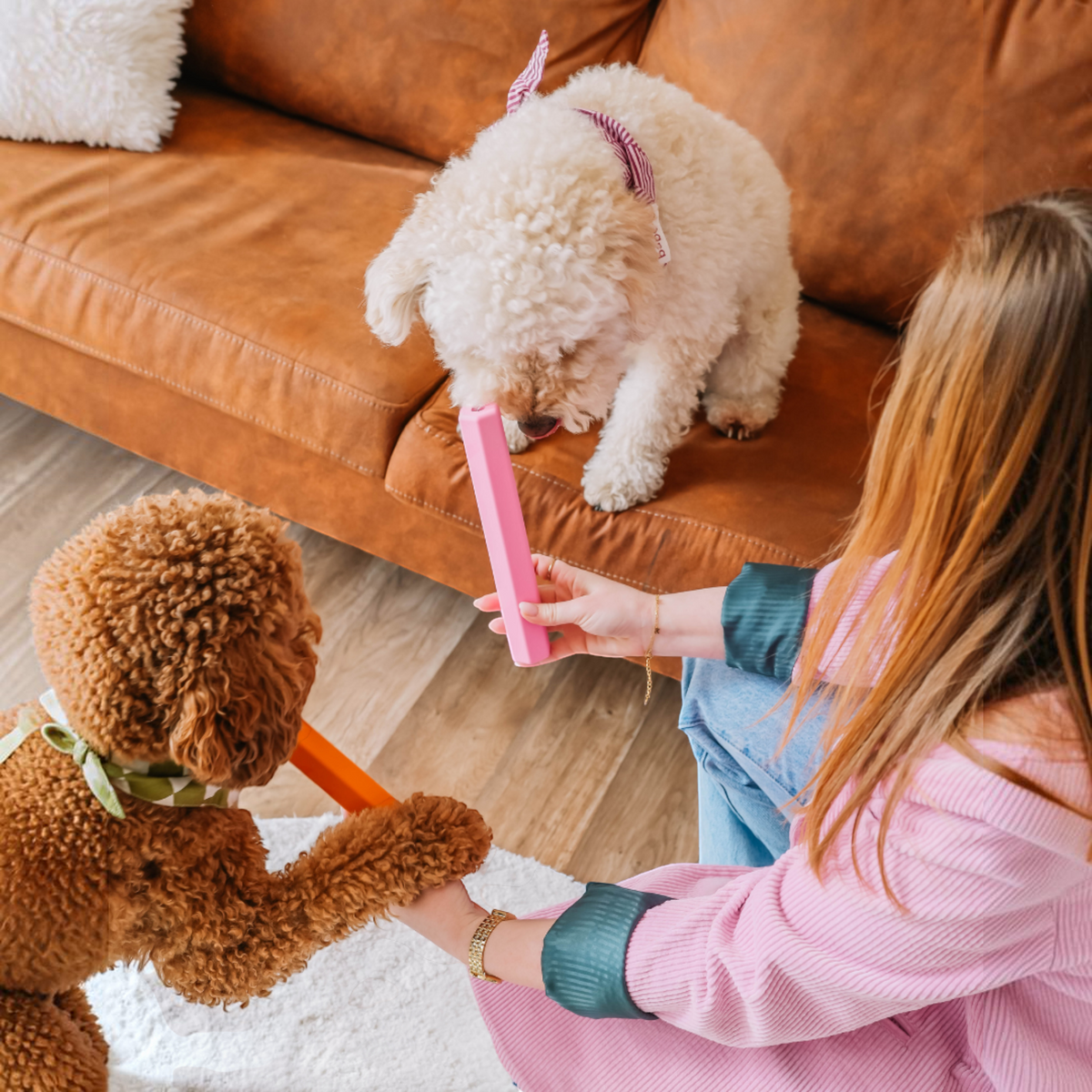Patomia pink Treat Tube enrichment toy held by a woman for a white poodle on a brown leather sofa