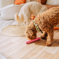 Charger l'image dans la visionneuse de la galerie, Patomia pink Treat Tube enrichment toy on a wooden floor with a curly-haired dog playing with it
