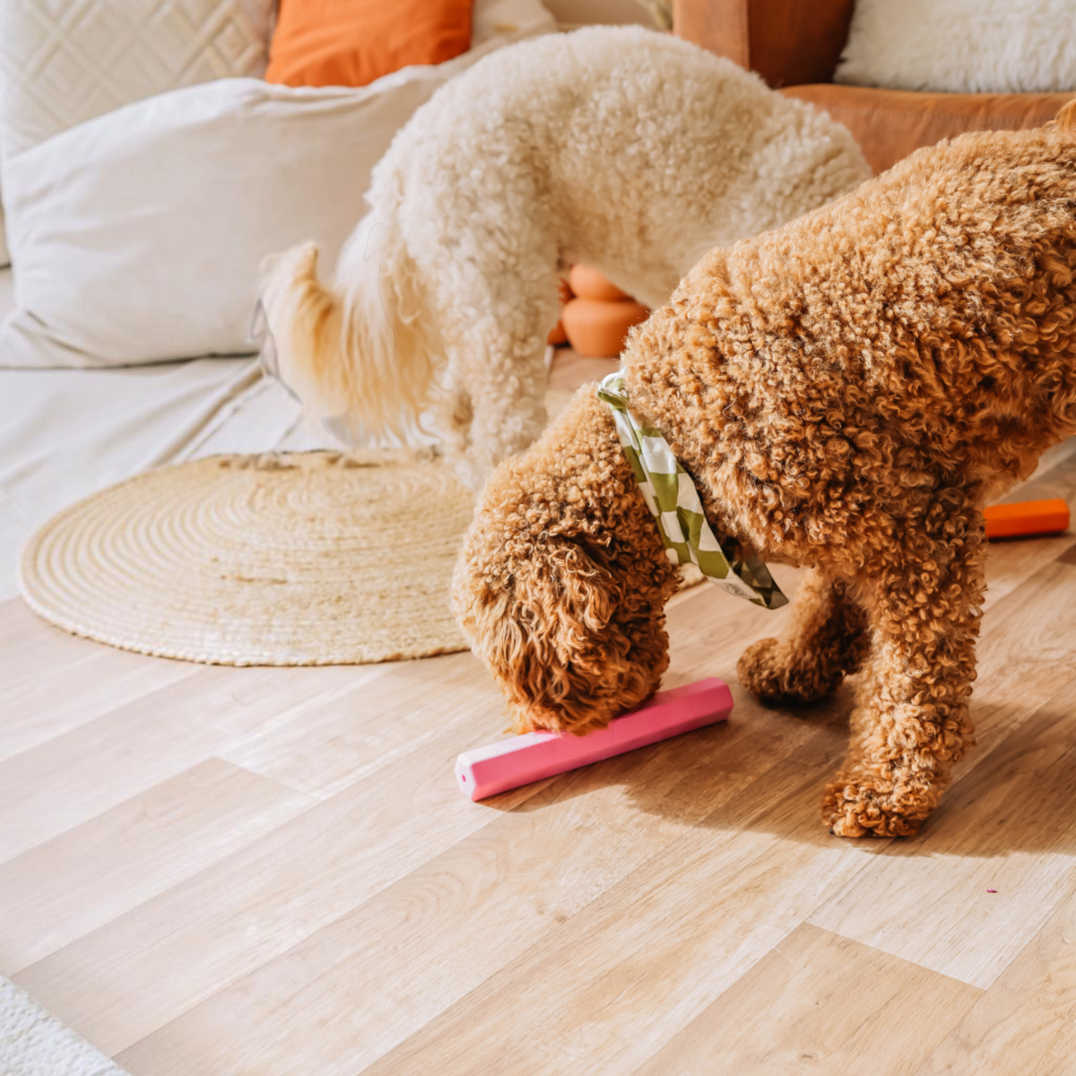 Patomia pink Treat Tube enrichment toy on a wooden floor with a curly-haired dog playing with it