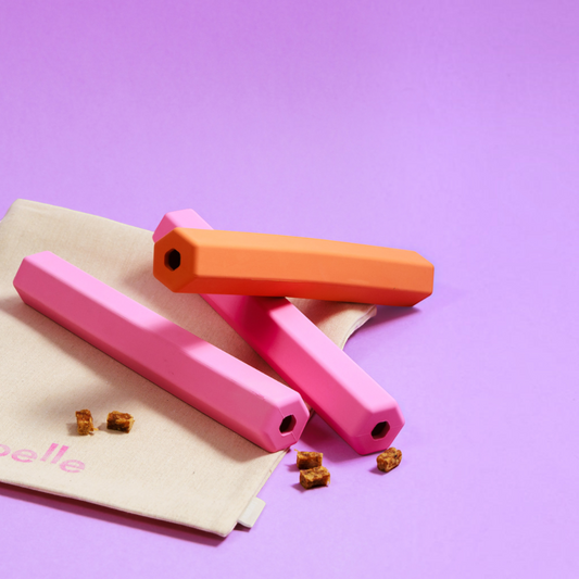 Patomia pink and orange hexagonal dog treat tubes on a beige cloth bag with small treat pieces on a purple background